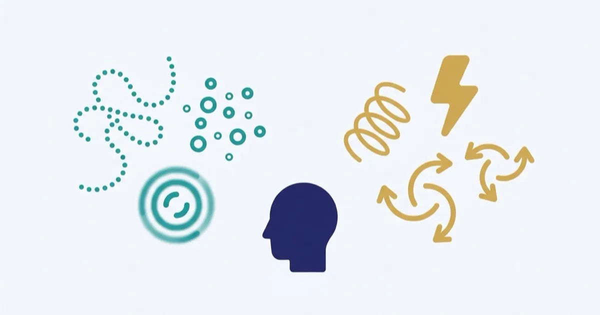 Plain editorial illustration grouping common adult ADHD features into inattention and hyperactivity or impulsiveness, with a note that only a clinician can diagnose.